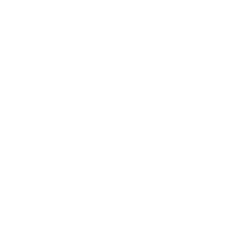 Logo PONY