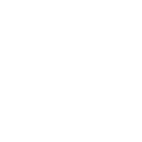 LOUIS VALLON