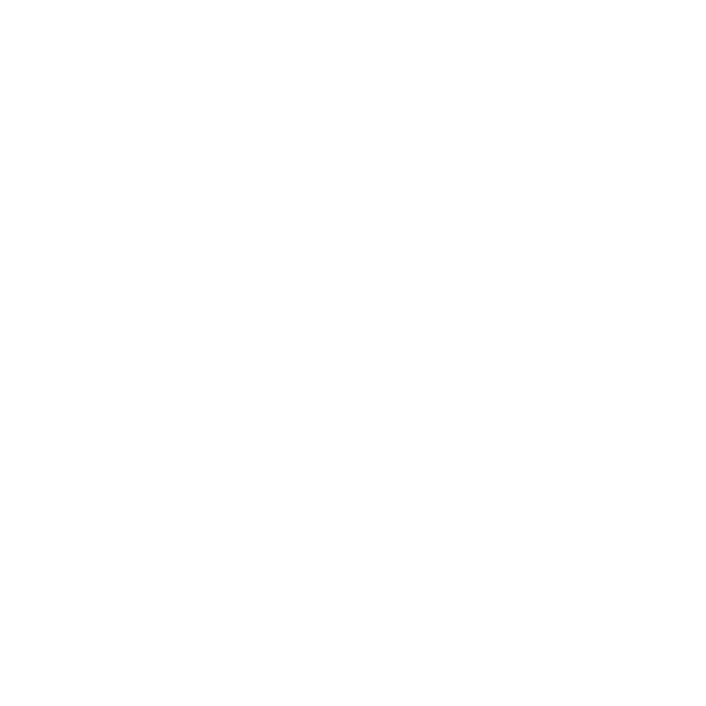 ROCHER PALMER