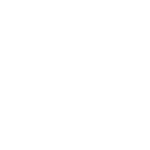 LOGO NOVELTY
